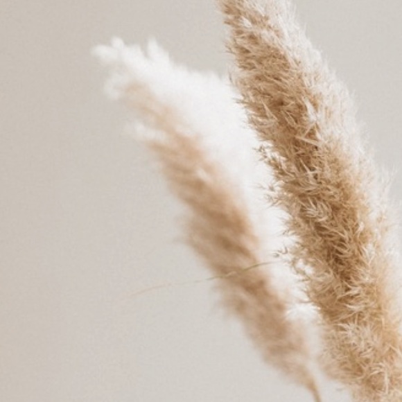 Meet your Posher, Lama - Picture 2 of 2